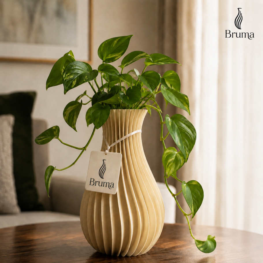 Planta decorativa en un jarrón de cerámica con etiqueta. Fondo con sofá y cortinas.